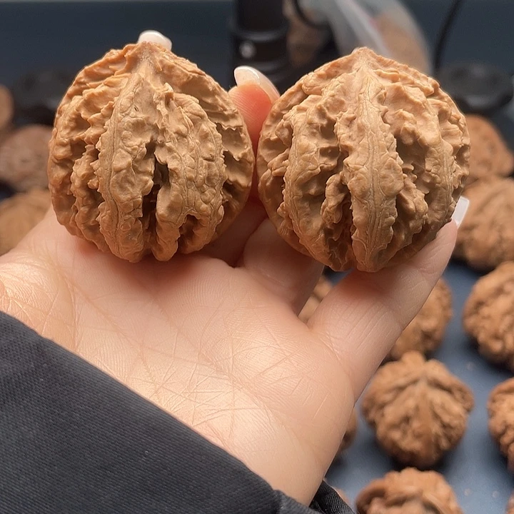 壮****龙脊菩提把件秦岭核桃