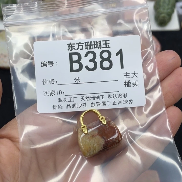 硅化珊瑚（珊瑚玉）颈饰合金若*