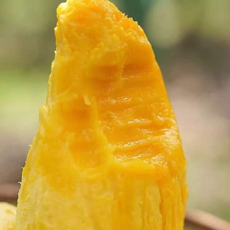 LA(催熟食用)金煌芒带箱5斤新鲜水果