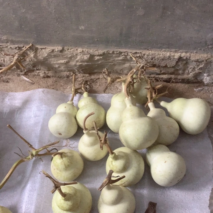 ****盘中号葫芦打包不包成