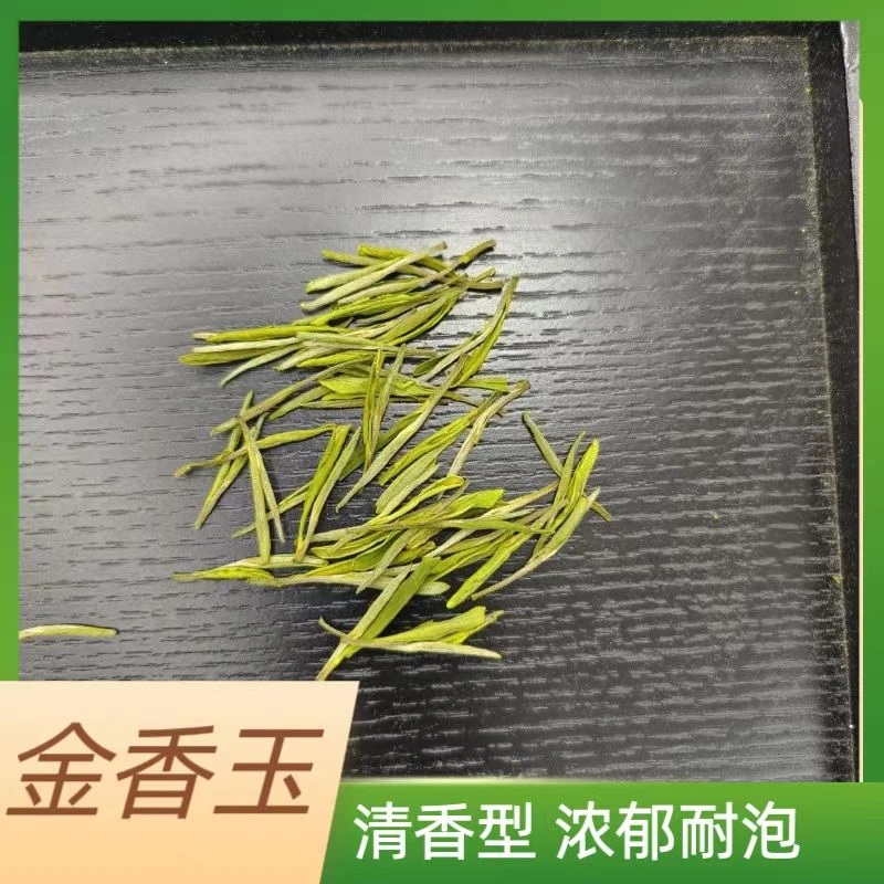【小伟推荐】新茶明前金香玉#2025年