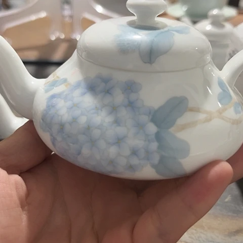 陶瓷大球泥手绘壶一个