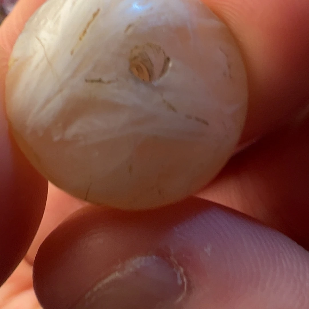 颈饰玻璃www玛瑙飞碟珠