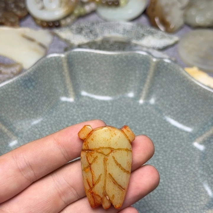 直播放漏专属链接47