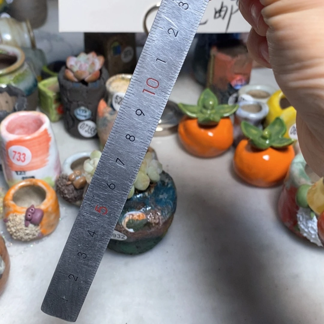 丸****～花盆拍3送一个小礼物