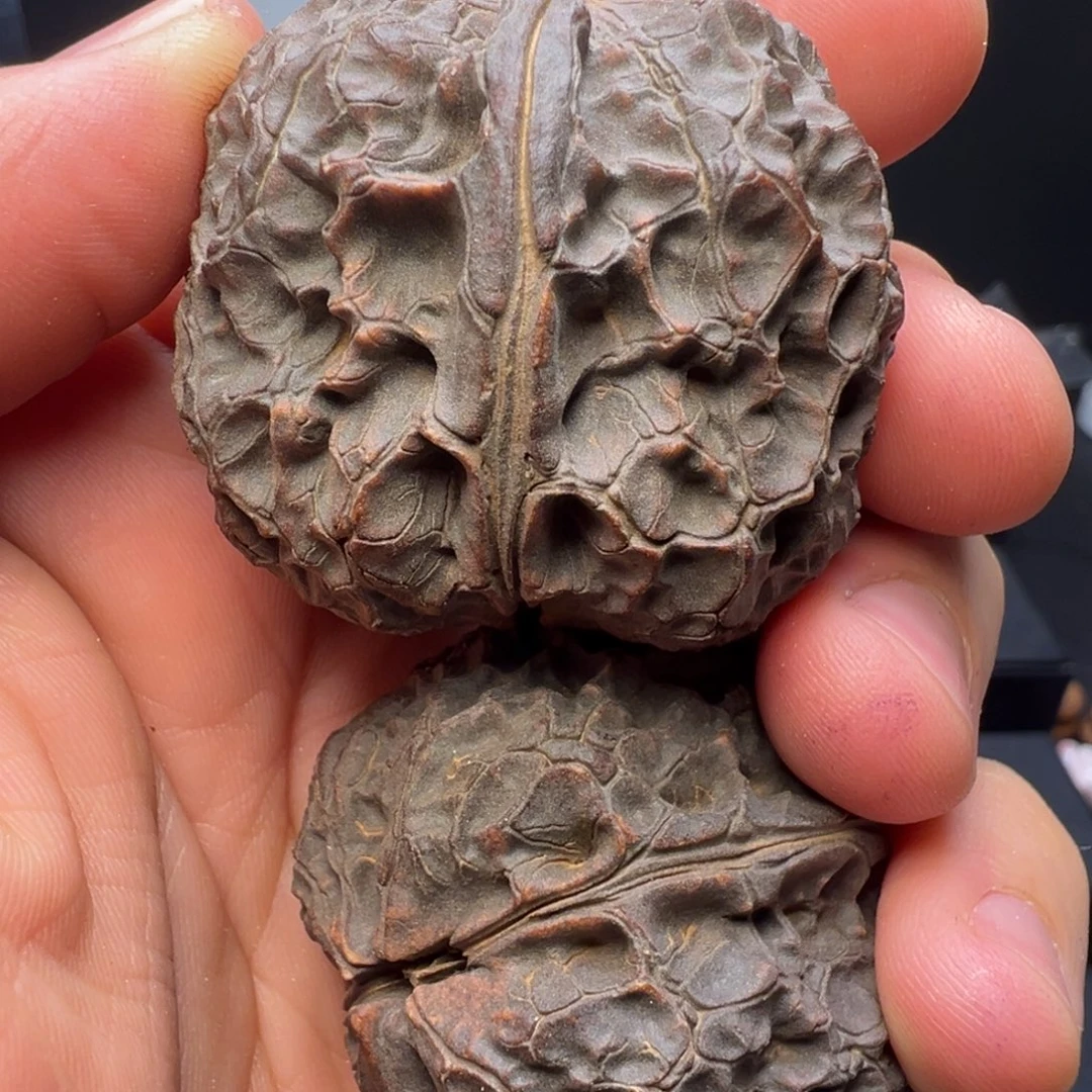 文玩核桃吊坠龟甲元宝42mm