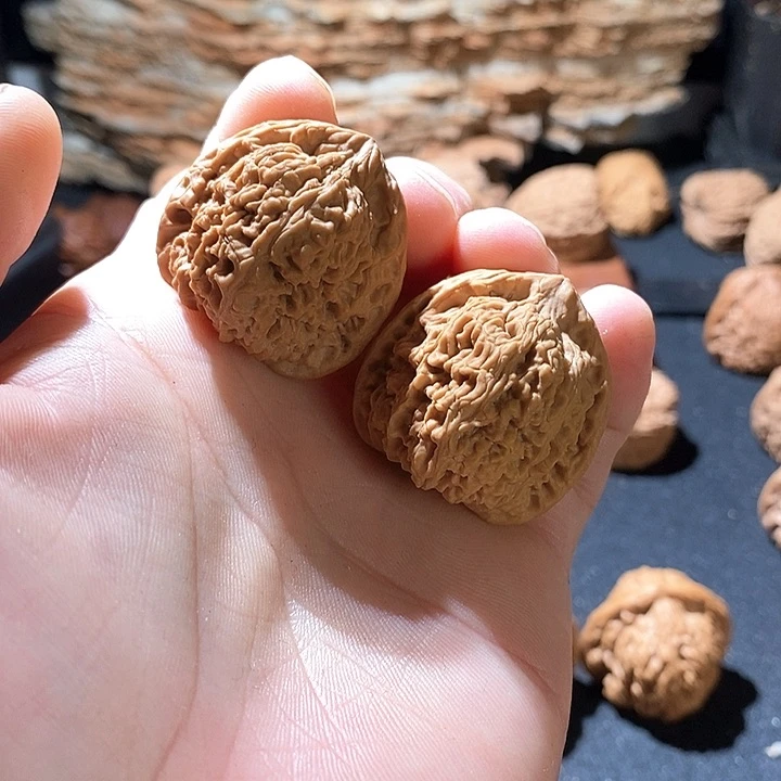 核桃其他其****说35全品南疆三角