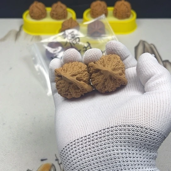 *****核桃核桃等经济作物的栽培技术