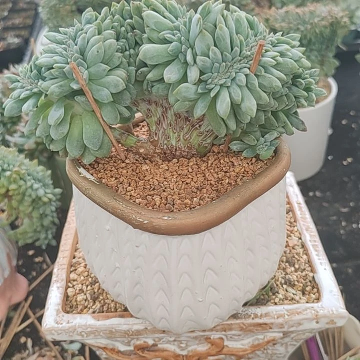 福利福利福利福利59