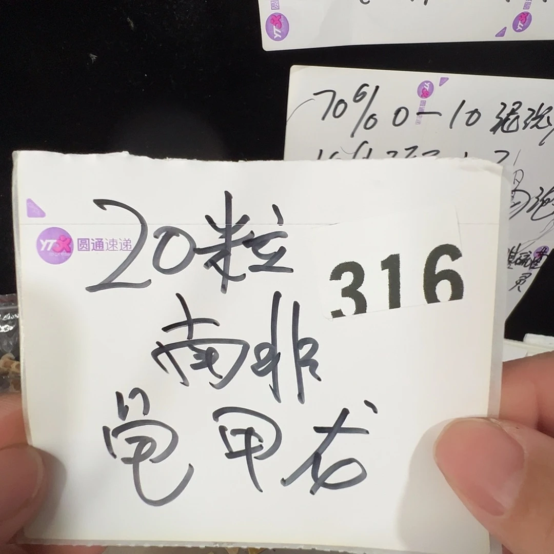 多肉植物专拍植物不退换 一物一拍 316