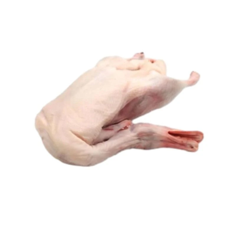 农村散养老水鸭一只（现杀现送）-2000g