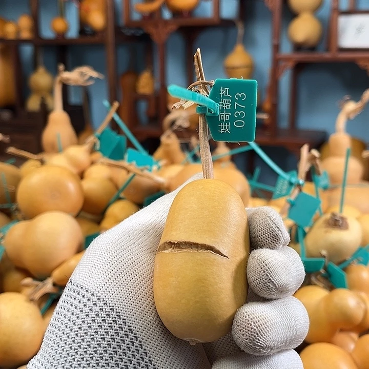 0373啊啊啊啊啊啊