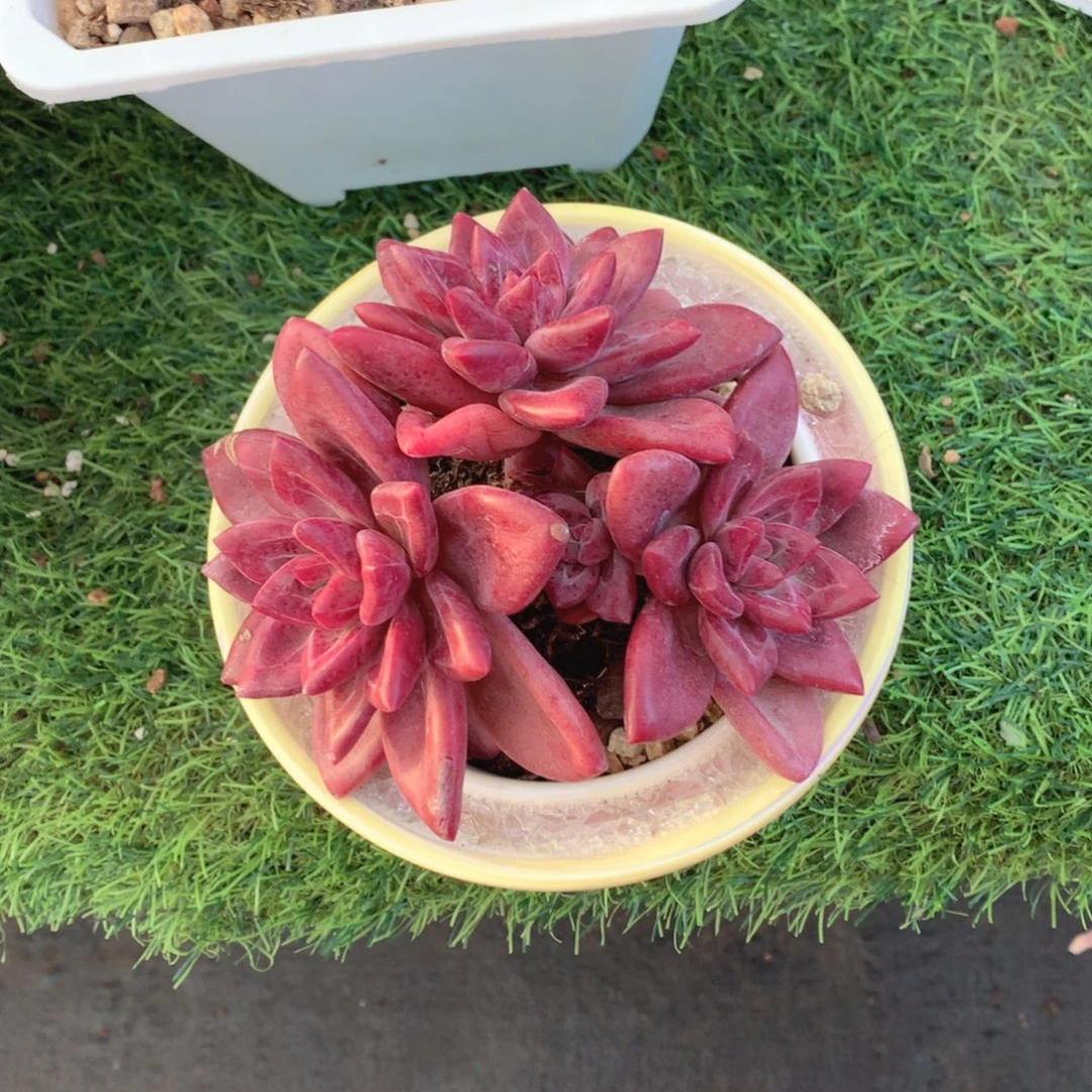 分分合合方式是否哈哈