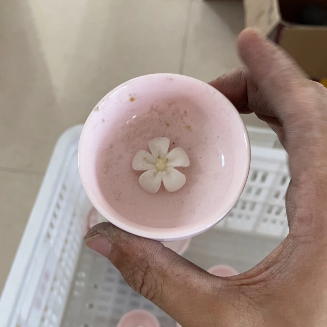 杯猪*妹直播链接瑕疵介意勿拍
