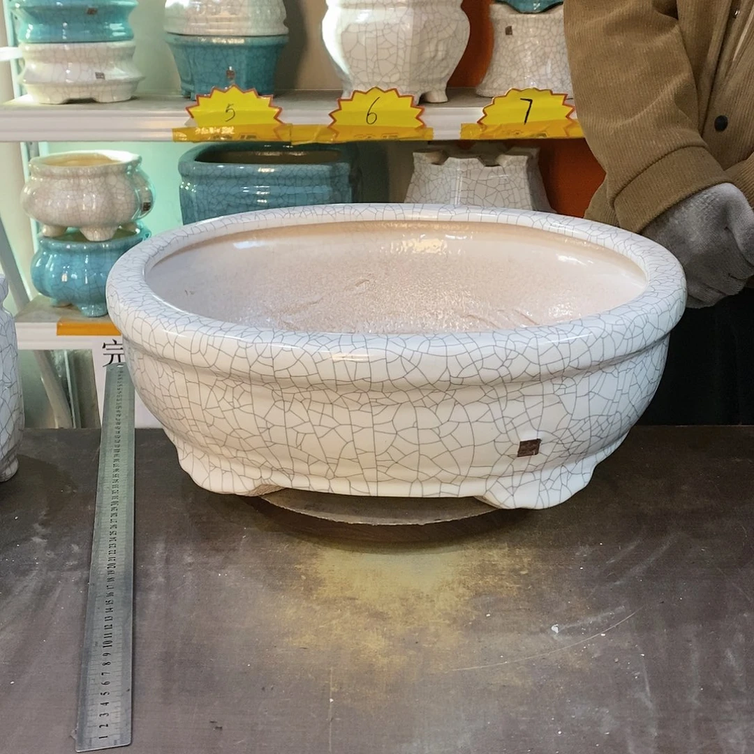 东*花盆花盆里的花都