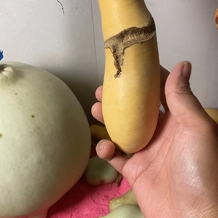 我***江青皮葫芦手把件葫芦