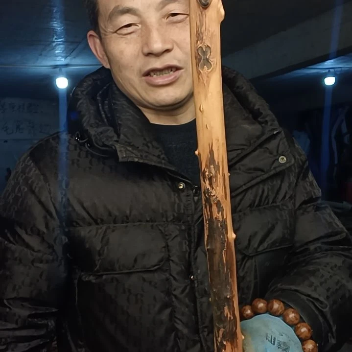 稳定木用****7贵州檬子木   铁马鞭   根艺  半成品