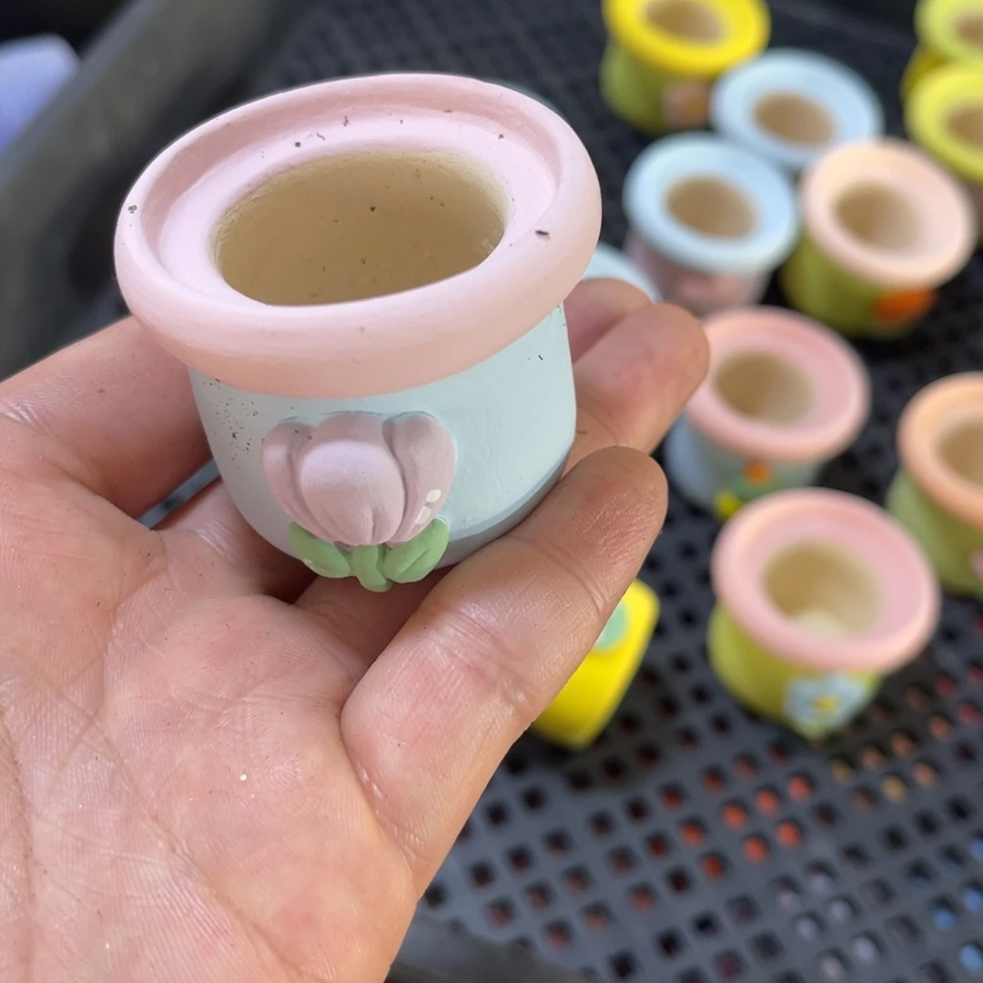 菠***~255号带盆包邮发货