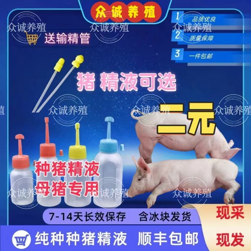 二元种公精液一件包邮包对版生态养殖批发输精管猪用耗材