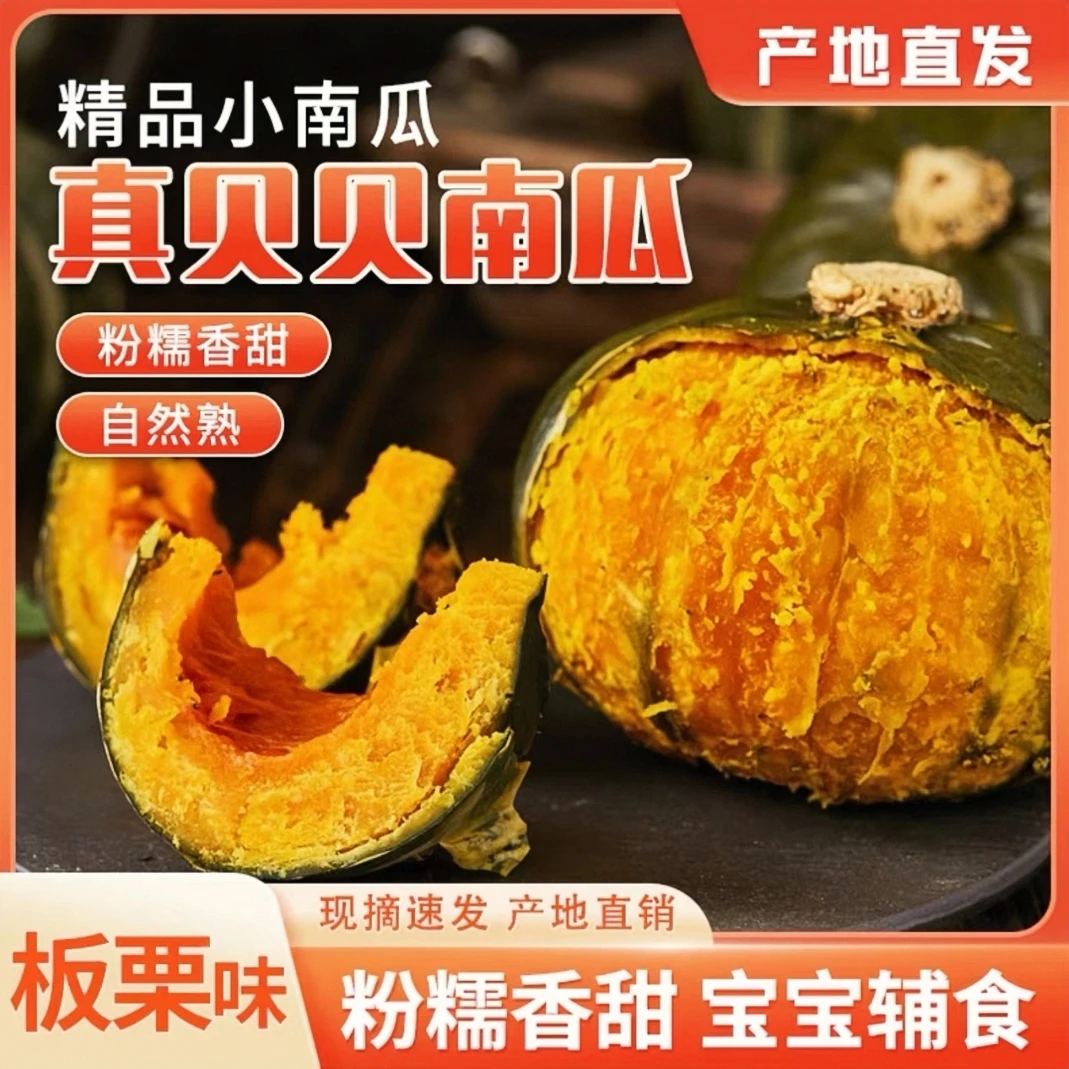 正宗贝贝小南瓜大超市专供粉糯香甜板栗味孕妇宝宝辅食营养丰富