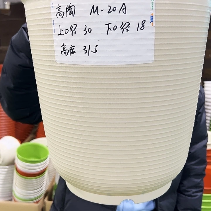 正品高陶口30高31米色无托5个