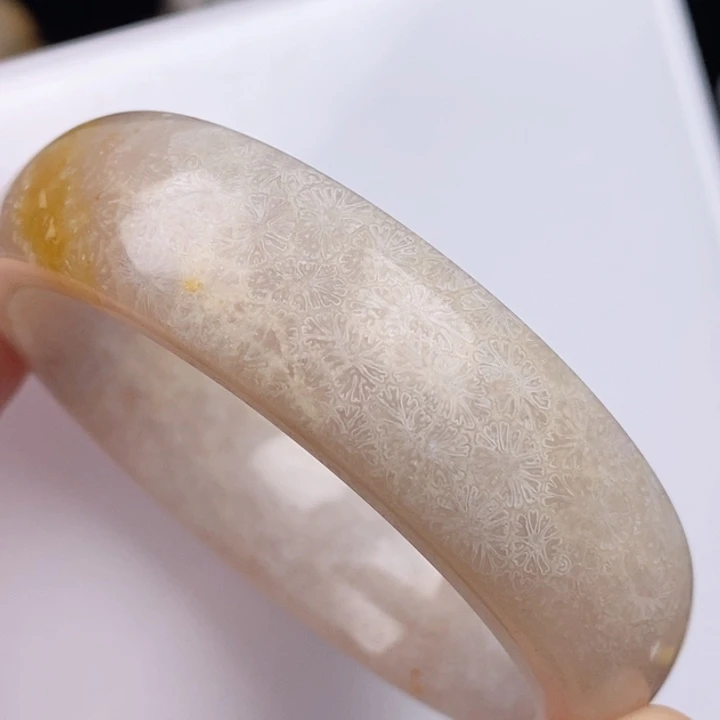 硅化玉未镶嵌手镯(圆镯)52.4
