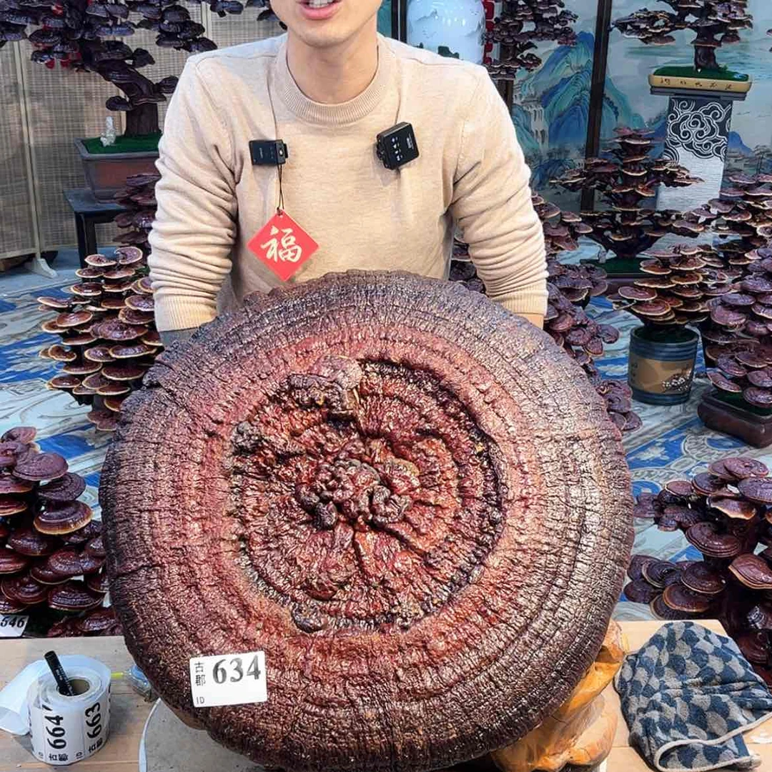 【闪购商品】58888