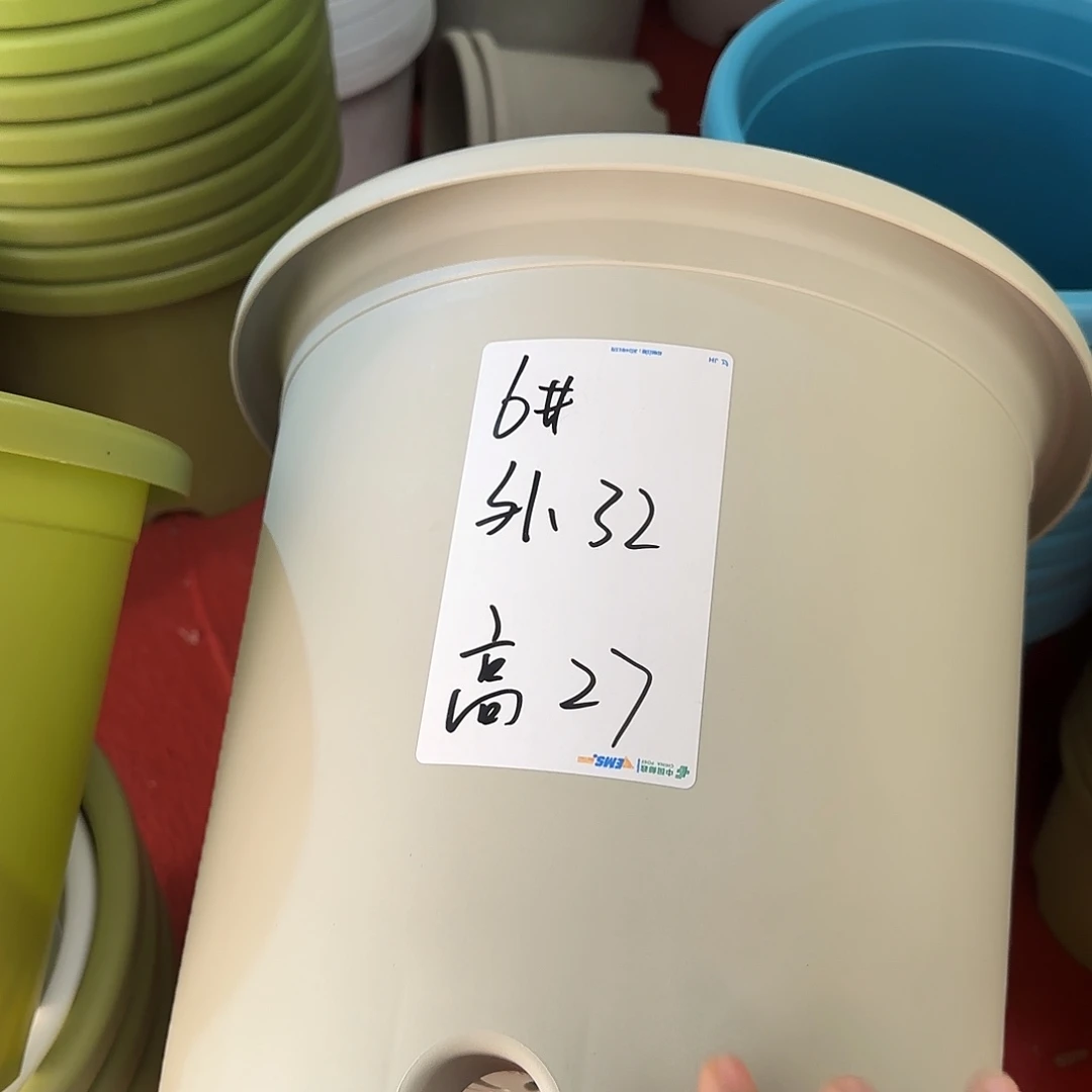 树脂四季6号无托7个灰白