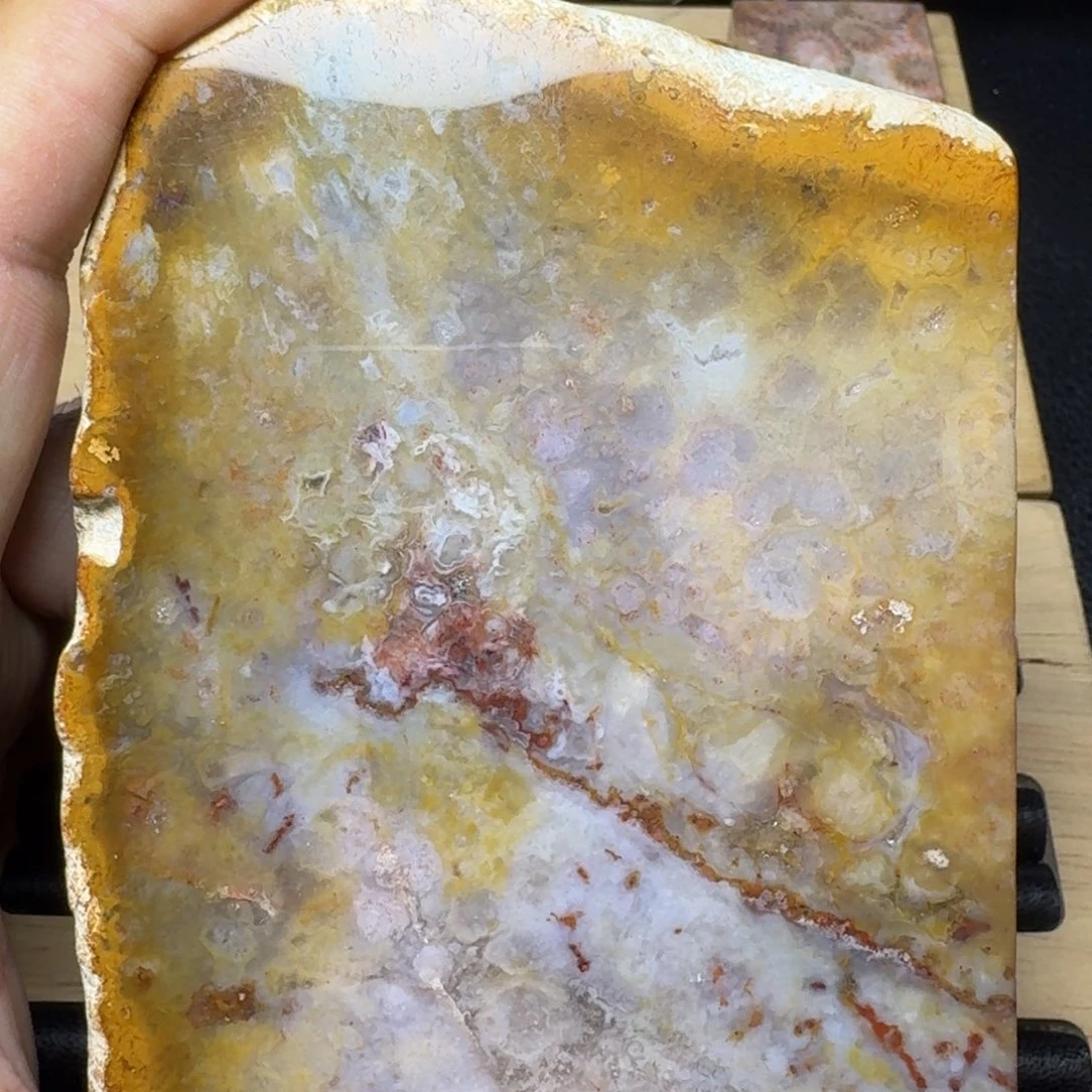 硅化珊瑚（珊瑚玉）纯天然色有机玉石未镶嵌