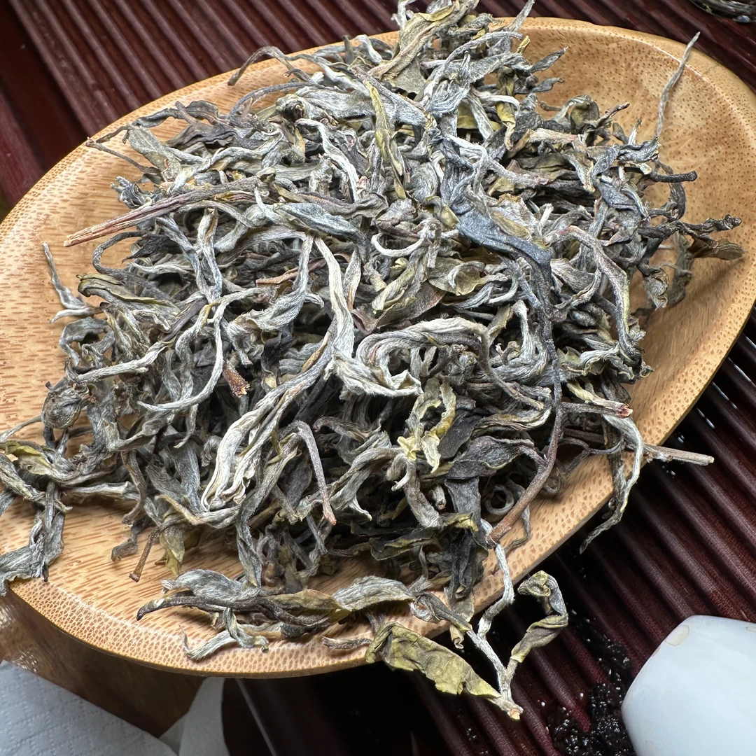 【十里亭】2025年头春困鹿山国有林古树生散茶（12月8号）Z