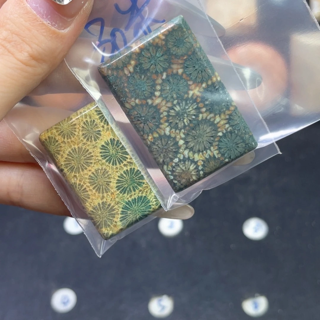 硅化珊瑚（珊瑚玉）吊坠未镶嵌