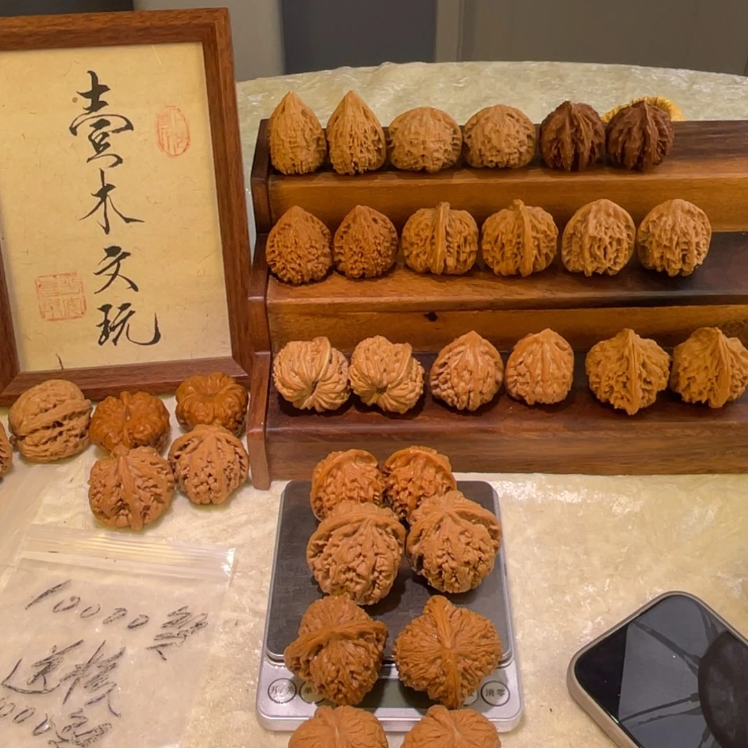 大叶紫檀（黑酸枝木类）