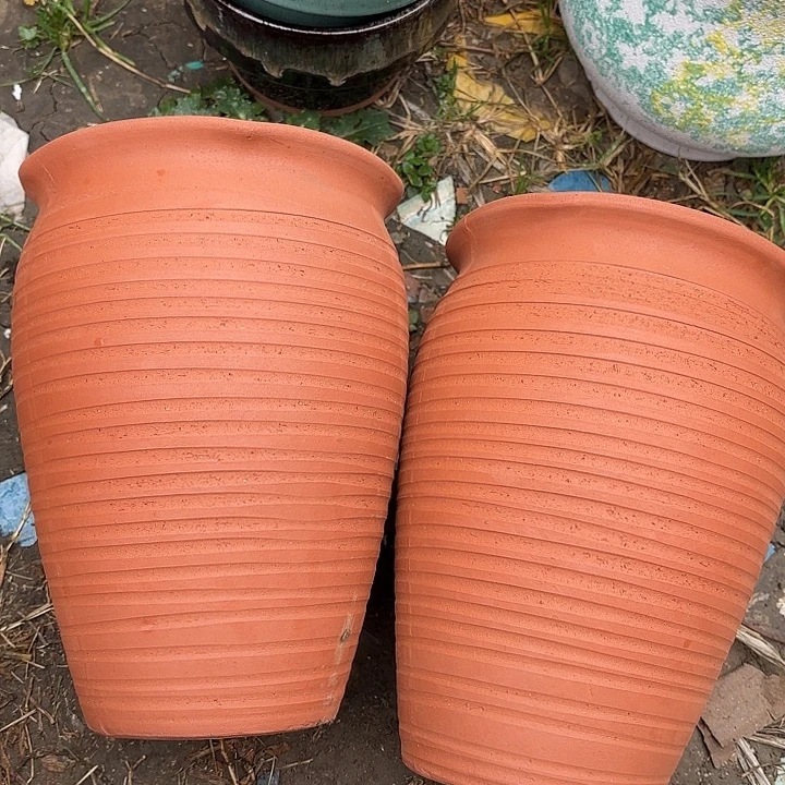 正品紫砂口17高24福利价