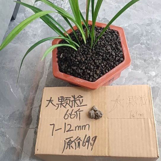 高***蓝兰菌黑山土大颗粒6.6斤