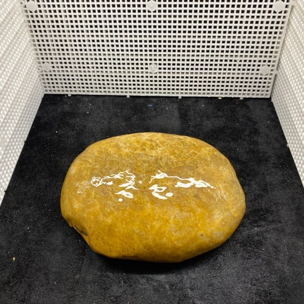 【圆形货款】天然黄蜡石乌龟躲避晒台盆景石鱼缸晒背