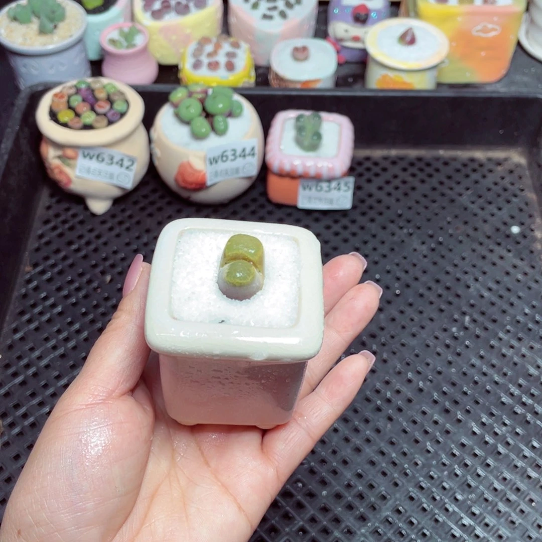 w6346 -零下地区拍保温箱-15支持寄养