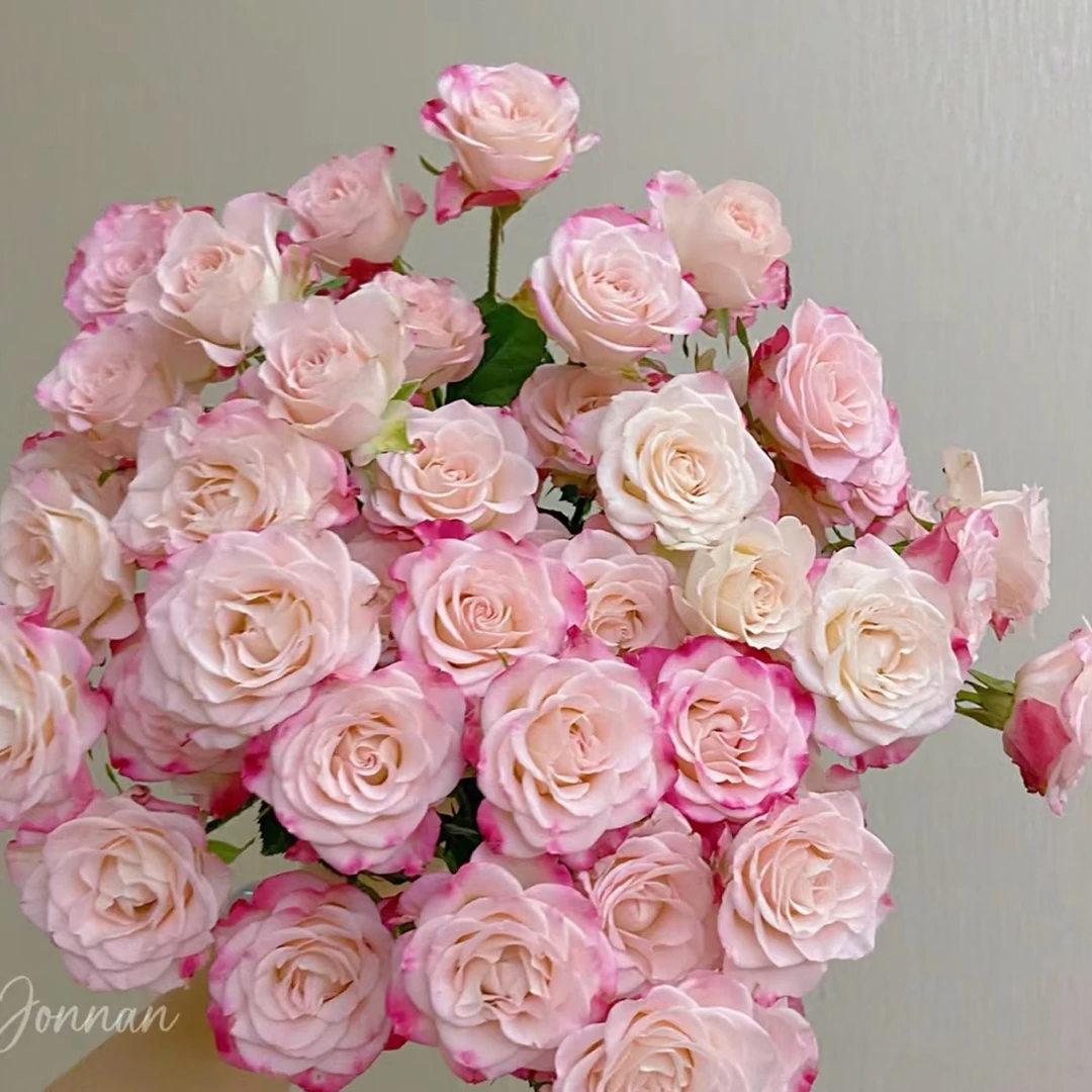 【鲜花批发 三单一个运费】折射8+2防损