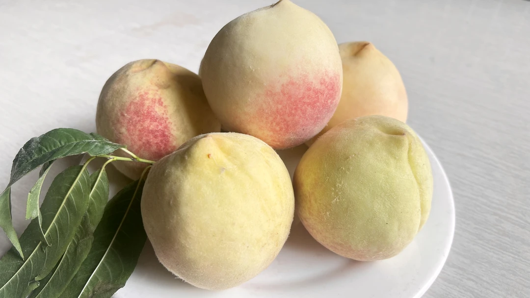 新鲜现摘脆蜜桃脆甜多汁应季水果