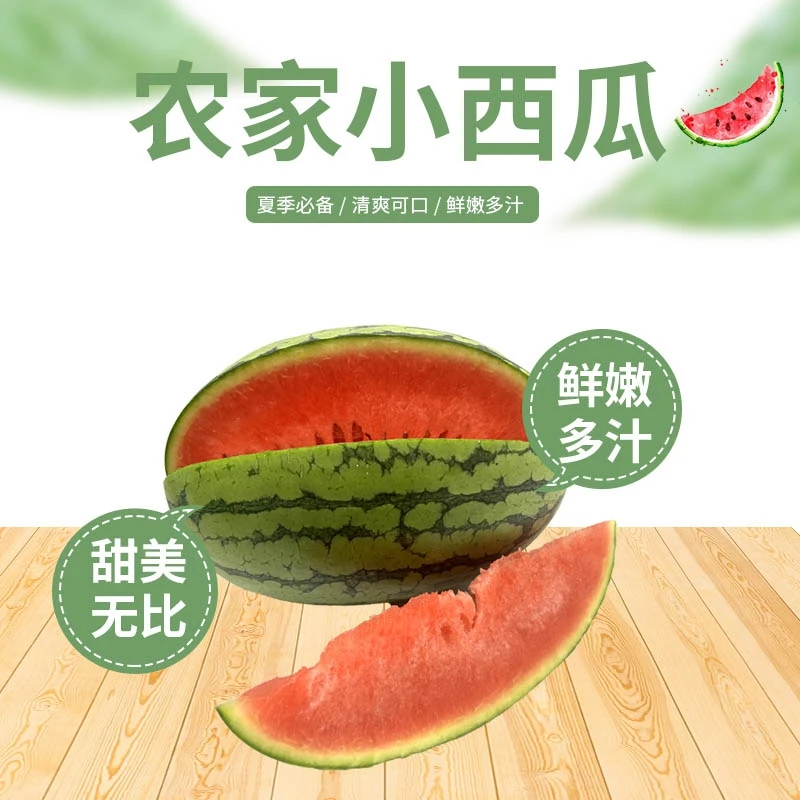 精品小吊瓜L600头茬小西瓜新鲜采摘6-7斤河南省