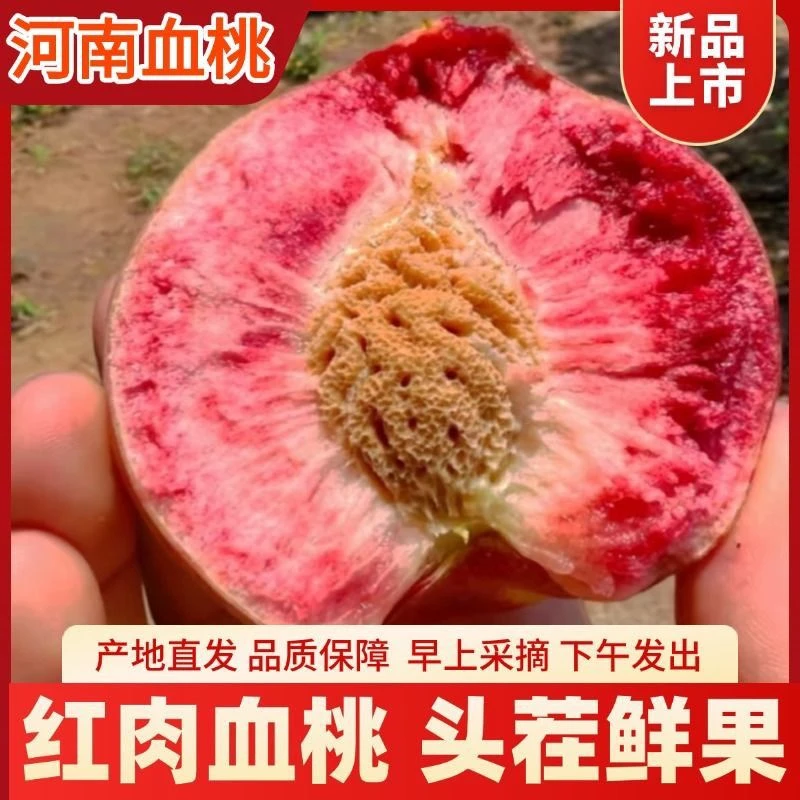 马谷田镇朱砂红血桃新鲜现摘胭脂红毛桃时令水果朱砂红脆桃整箱