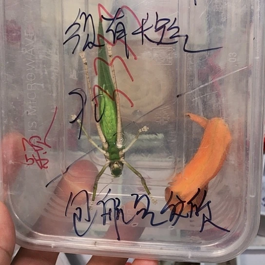 李***缘蟋蟀33333333333333