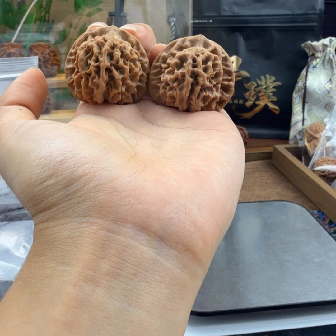 沪***姨吊坠龙脊菩提秦岭闷尖狮子头37-7