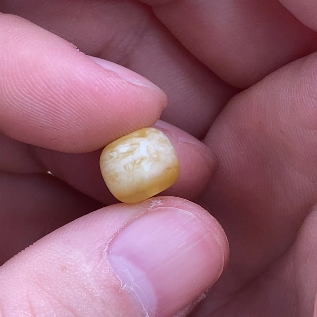 皇***`蜜蜡未镶嵌裸石配饰