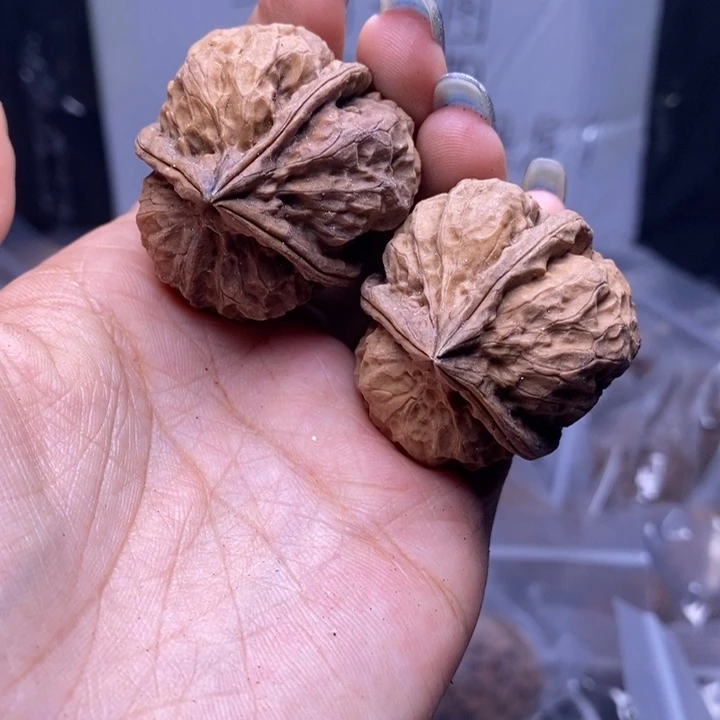 把件文玩核桃云南野生铁核桃177号39mm