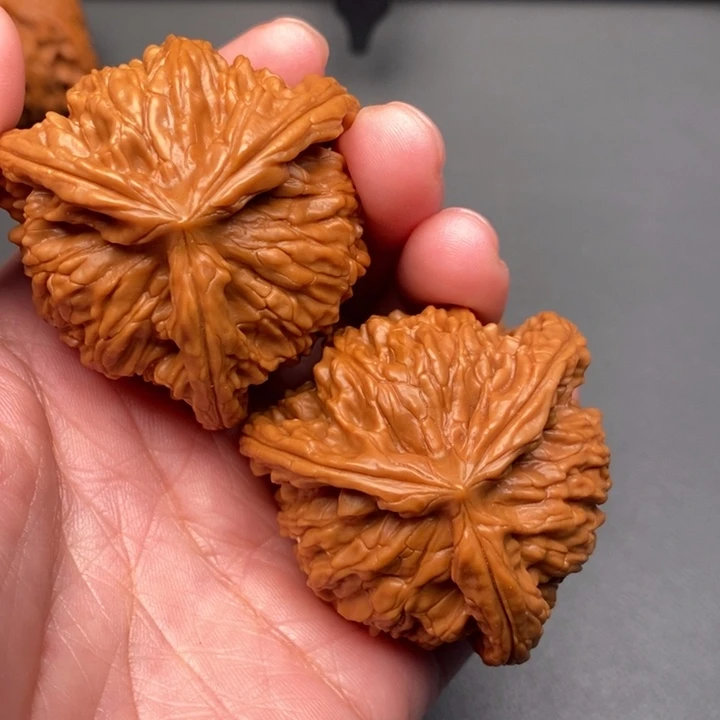 马***外木质类核桃核桃核桃