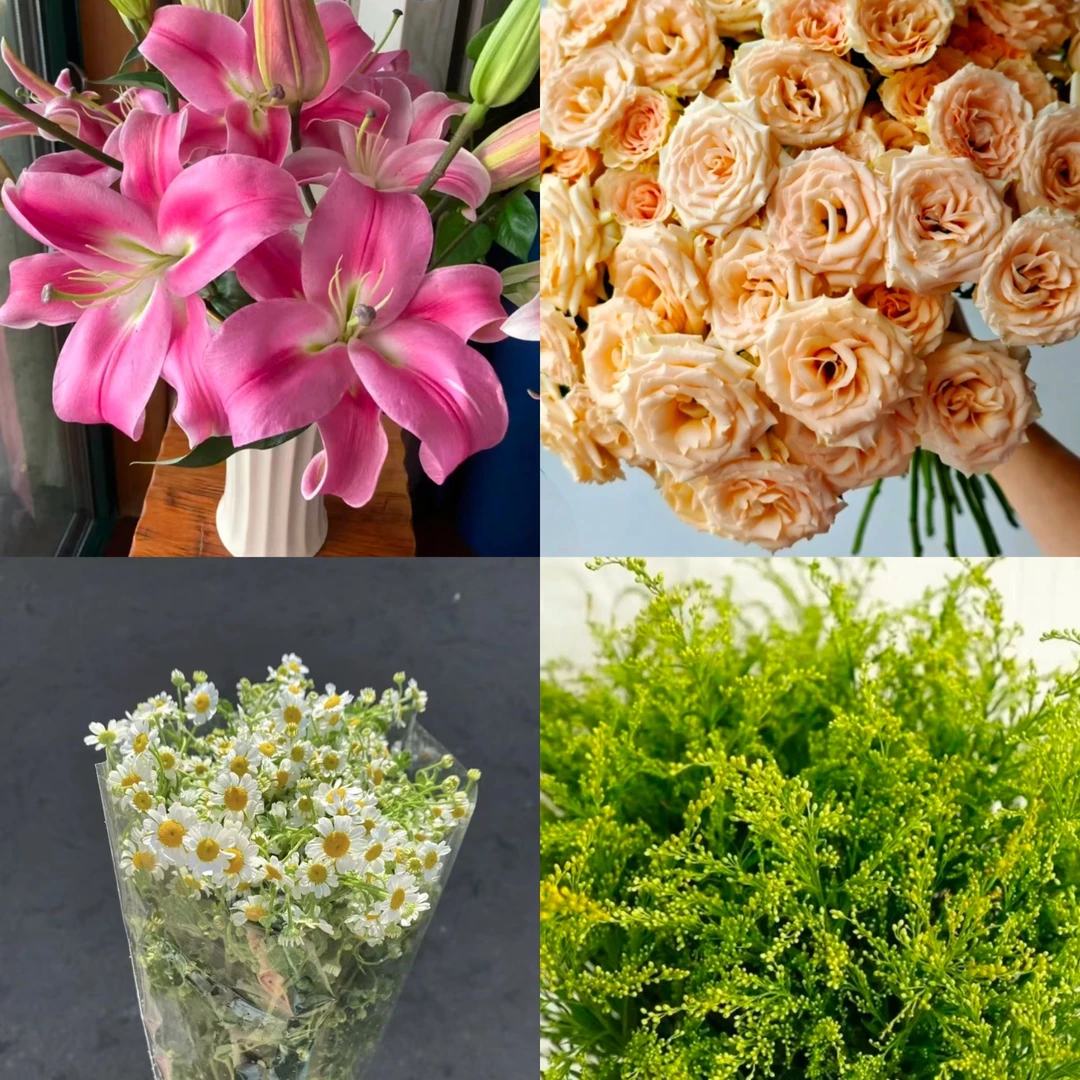 次日达 午后阳光组合