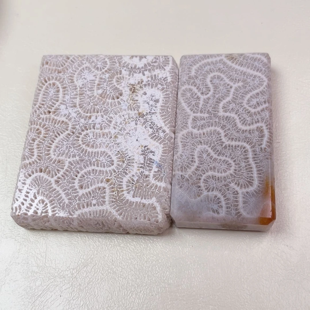 【闪购商品】未镶嵌吊坠(赠链)硅化玉