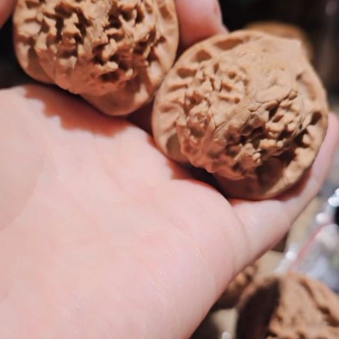 吊坠文玩核桃42图图图