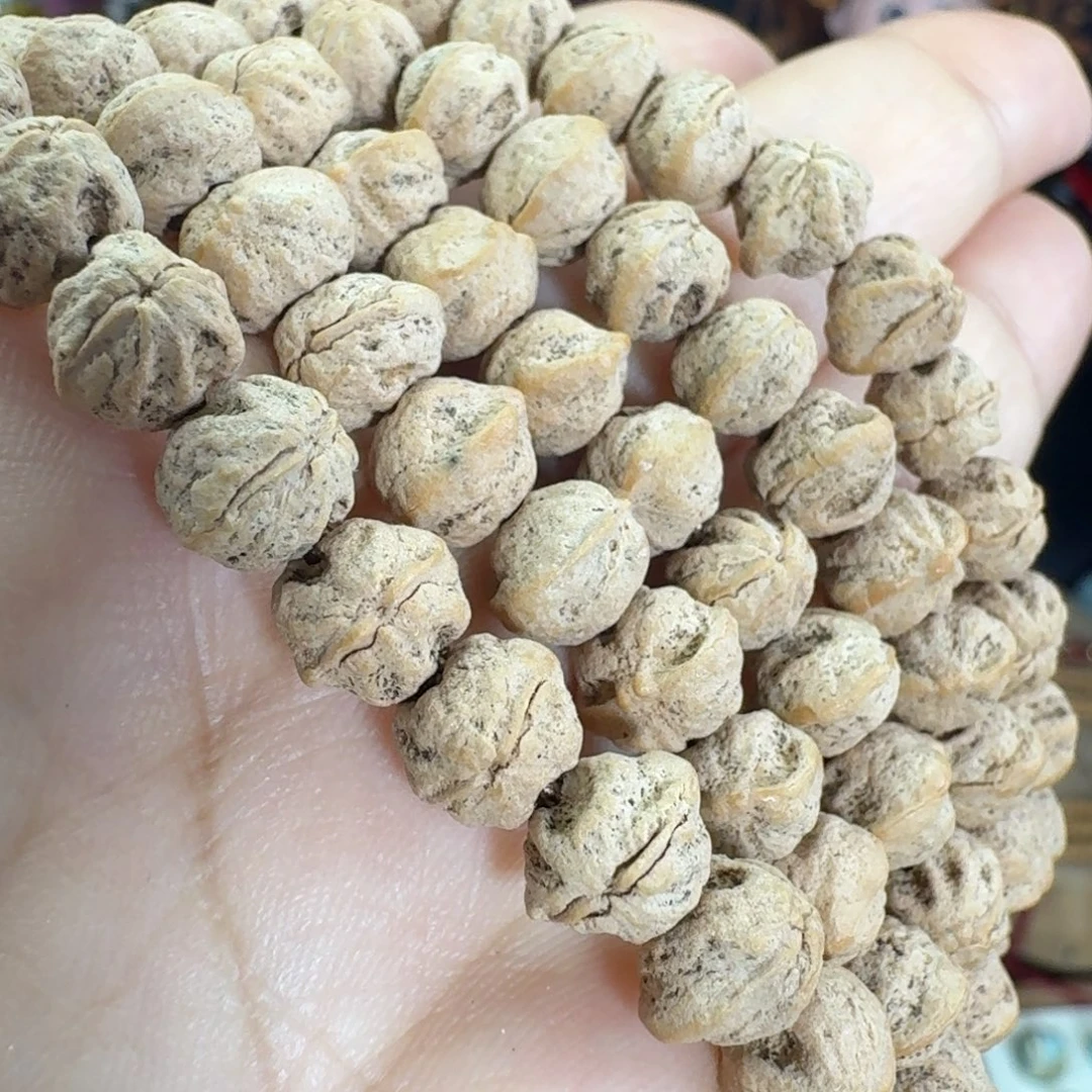 菩提籽类吞噬包芽口横打柏香108