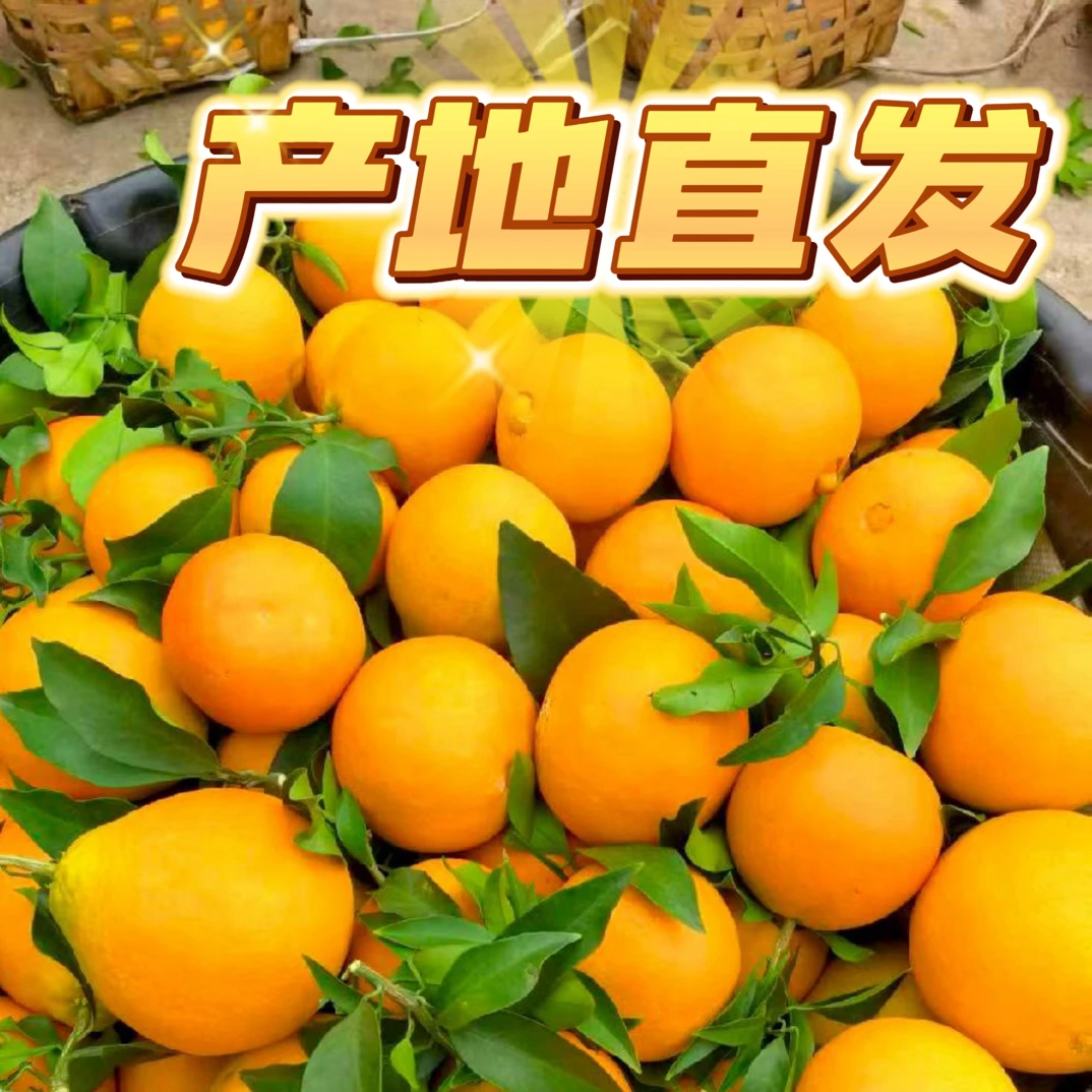 四川高山爱媛38号果冻橙当季新鲜薄皮清甜爆汁橙子